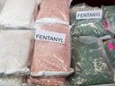 vacation Fentanyl recently seized, displayed during a press conference at BC RCMP Divisional Headquarters in Surrey, B.C., Friday, Feb. 23, 2024.  THE CANADIAN PRESS/Tijana Martin