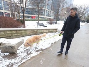 Bruno walks his golden retriever Khaleesi.