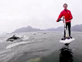 Jerry McArthur is chased by a pod of dolphins