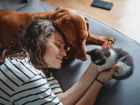 Pet owners prioritizing supporting local amid rising costs Pet owners prioritizing supporting local amid rising costs