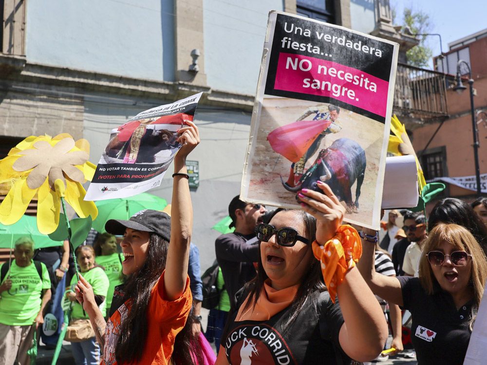 Mexico City Bans Violent Bullfighting, Introduces Bloodless Alternative