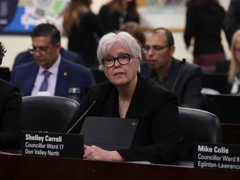  Members of Toronto City Council, including councillor Shelley Carroll, gather at an executive committee meeting on Wednesday, March 19, 2025.