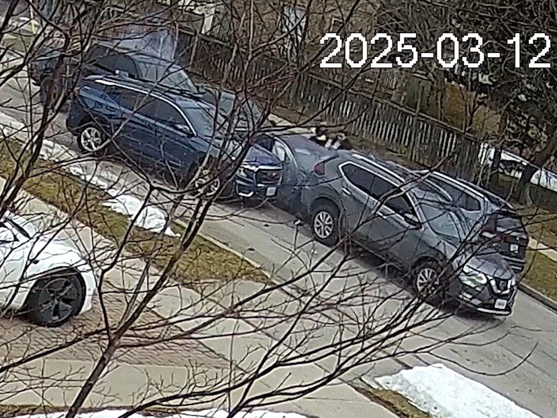 Toronto Police released a video that showed officers conducting a high-risk takedown of four robbery suspects in North York on Wednesday, March 12, 2025.