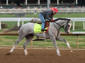 Sandman runs on the track during the morning training in preparation for the 151th Kentucky Derby at Churchill Downs on April 25, 2025 in Louisville, Kentucky.