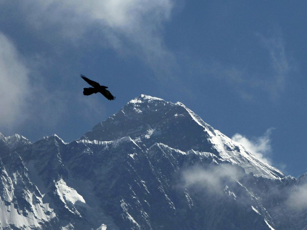 FILE - A bird flies in the backdrop of Mount Everest, as seen from Namche Bajar, Solukhumbu district, Nepal on May 27, 2019.