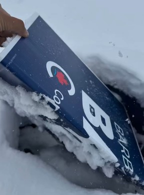 Barbara Bal, the Conservative Party candidate for Nepean, said her election signs are being found in the garbage.