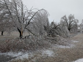 Simcoe North MPP Jill Dunlop shared this image of damaged trees on her Orillia property on Saturday, April 5, 2025, following damaging ice storms late last month.