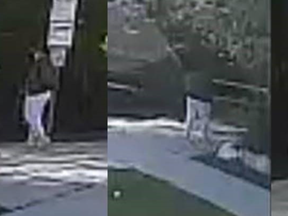 Indecent act suspect