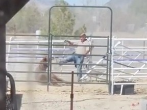 Screenshot of equine vet Dr. Shawn Frehner kicking a horse in the face.