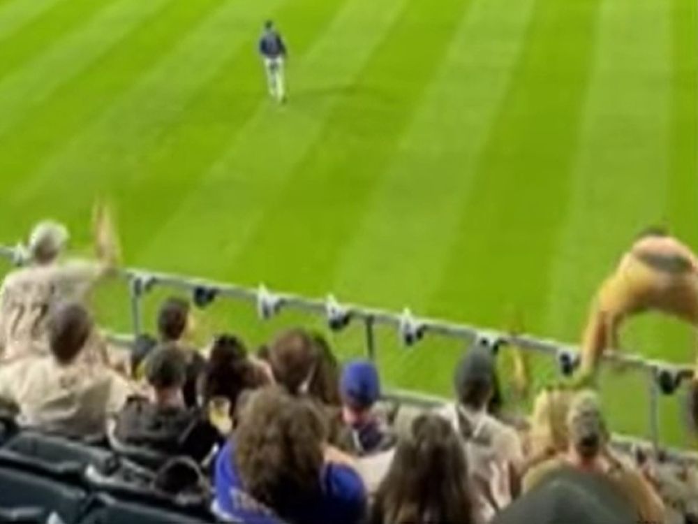 Pirates fan Cavan Markwood fell from a railing at PNC Park in Pittsburgh last week.