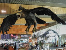 A sculpture of an eagle from the Hobbit films, ridden by the wizard Gandalf, hangs over the food court area of Wellington Airport, in Wellington, New Zealand, Monday, May 5, 2025.