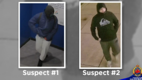 Theft News Image