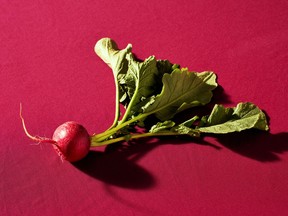 You can eat the tops of radishes, too. CREDIT: Justin Tsucalas/For The Washington Post