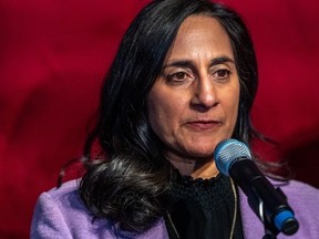 Anita Anand speaks to reporters.