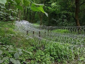 This handout photograph taken and released by General Staff of the Armed Forces of Ukraine on June 26, 2025, shows barbed wire on the front line in Sumy region.