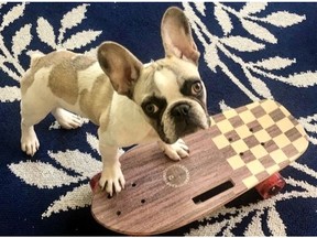 Dale learned to skateboard a few months after he was born, in 2019.