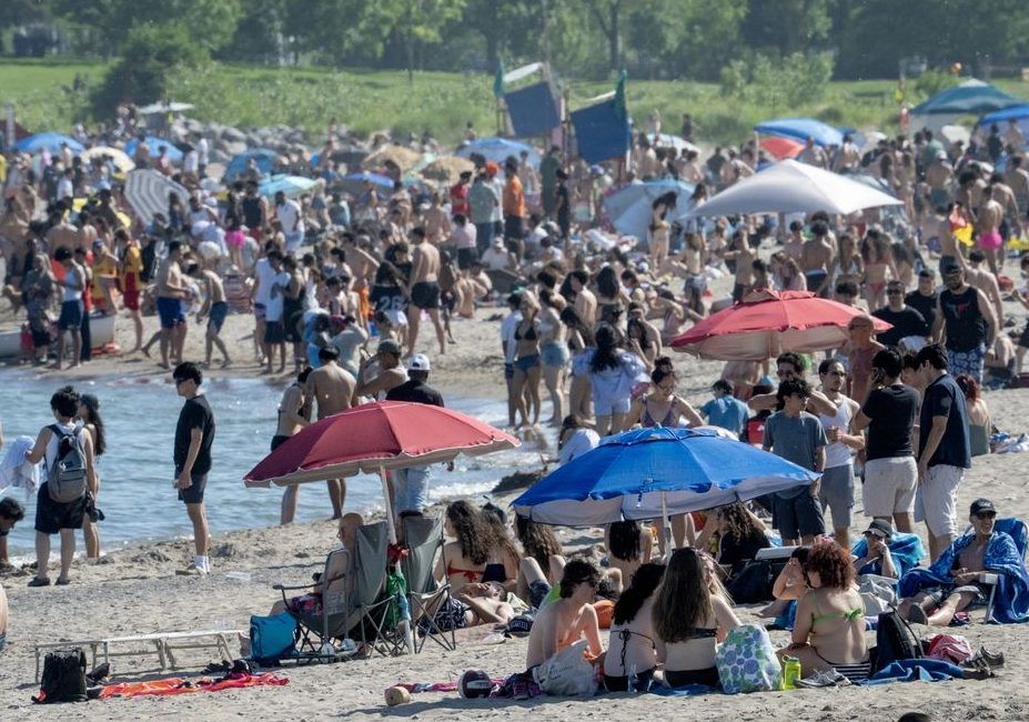 Put down phone while supervising kids in water: Lifesaving Society