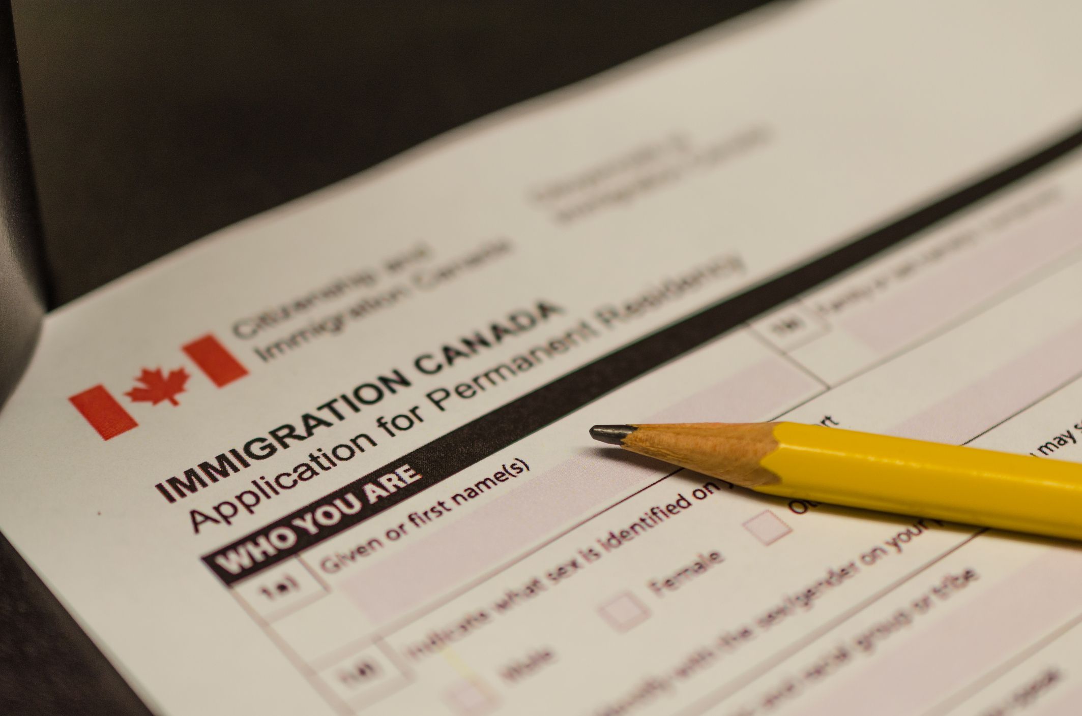 Canada's immigration system must put national security ahead of applicants: Expert