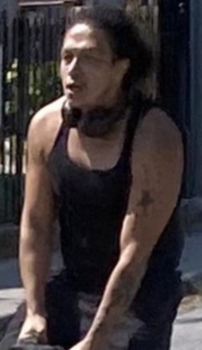 A suspect is being sought after unleashed dogs attacked a person following a verbal argument near Baldwin Village.