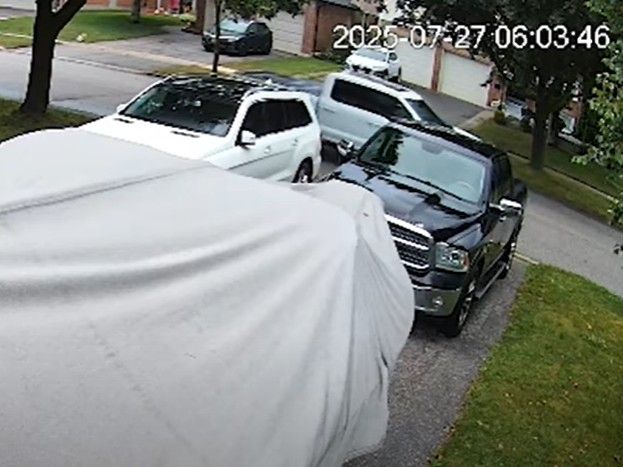 Cops seek identity of suspect after rabbit shot dead in Newmarket