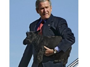 Then-U.S. president George W. Bush carries his dog Barney as he steps from Air Force One on Dec. 26, 2005 in Waco, Texas. (Manel Ngan/AFP/Getty Images)