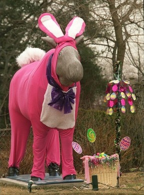 One of Toronto's many moose sculptures in the Easter Bunny spirit at Moore and Bayview Aves.