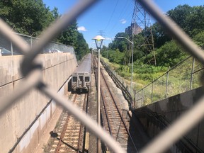 A subway train is seen near Warden Station.