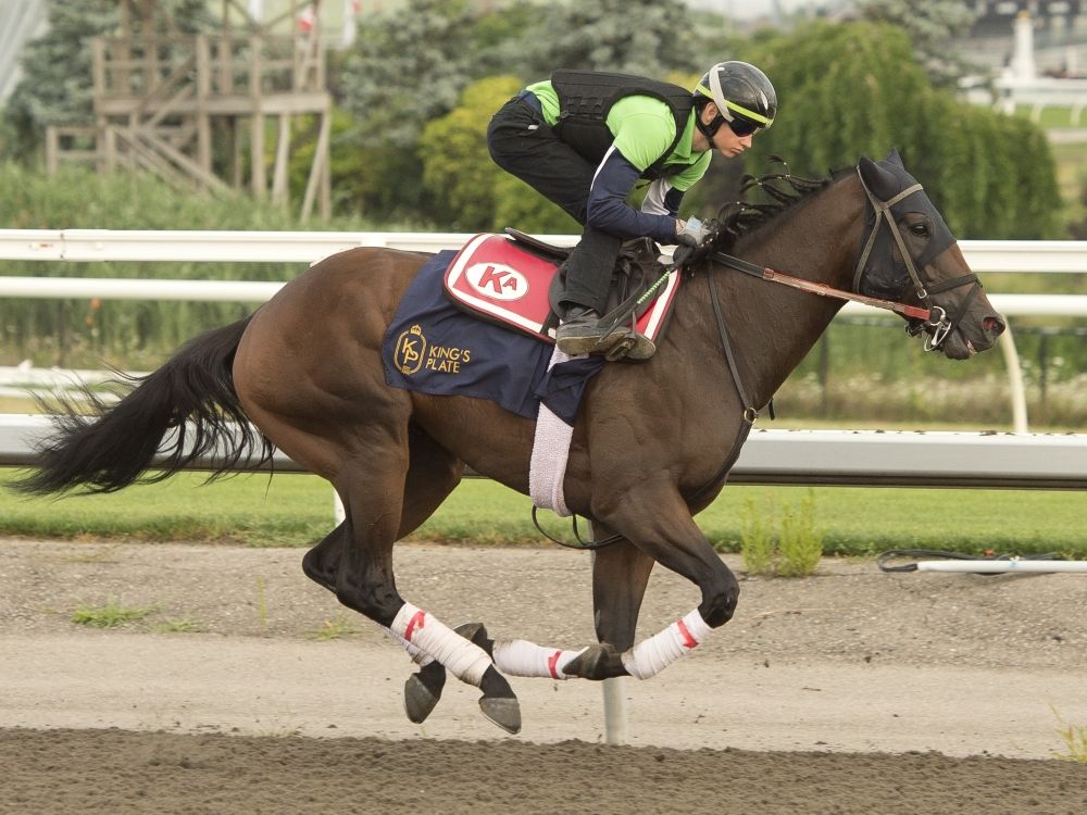 Eventual King's Plate winner Mansetti gallops during a training session last year.