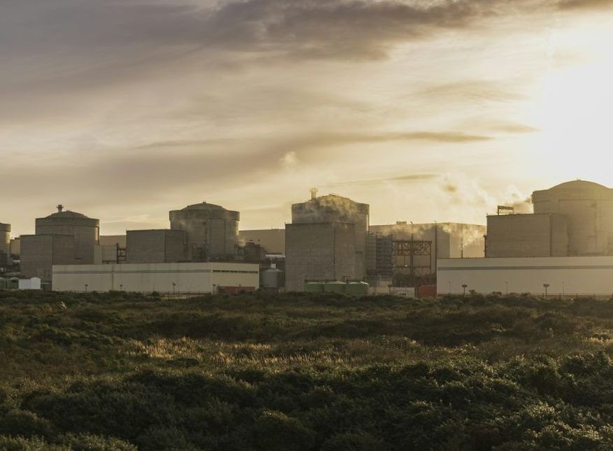 Jellyfish force French nuclear plant shutdown