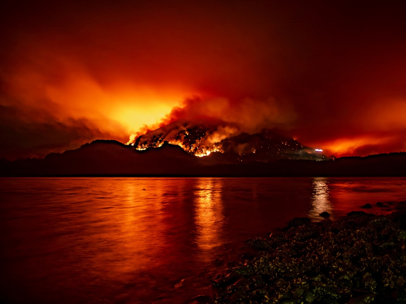 Study offers glimpse of severe climate change anxiety in Canada