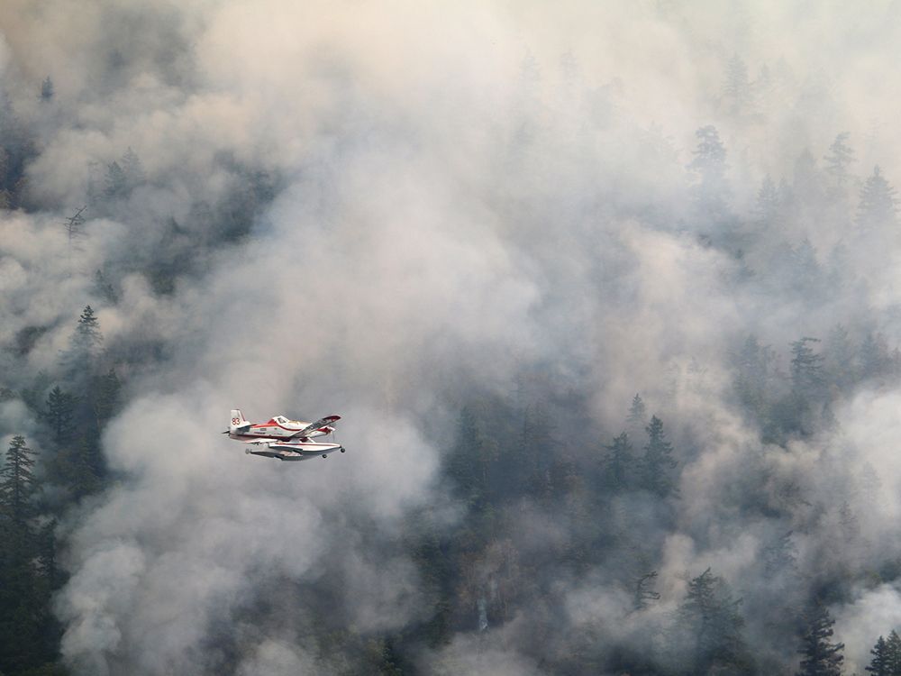 The Wesley Ridge fire scorched nearly six square kilometres of land.