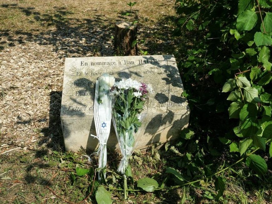 An olive tree, planted in 2011 in Ilan Halimi's memory, was cut down, probably with a chainsaw, in the northern Paris suburb of Epinay-sur-Seine