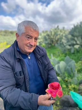 Giovanni Bua, president of O.P Deliziosa, which promotes producers of fruits and vegetables in Sicily, carves up a prickly pear at his family orchard in Biancavilla near Mount Etna