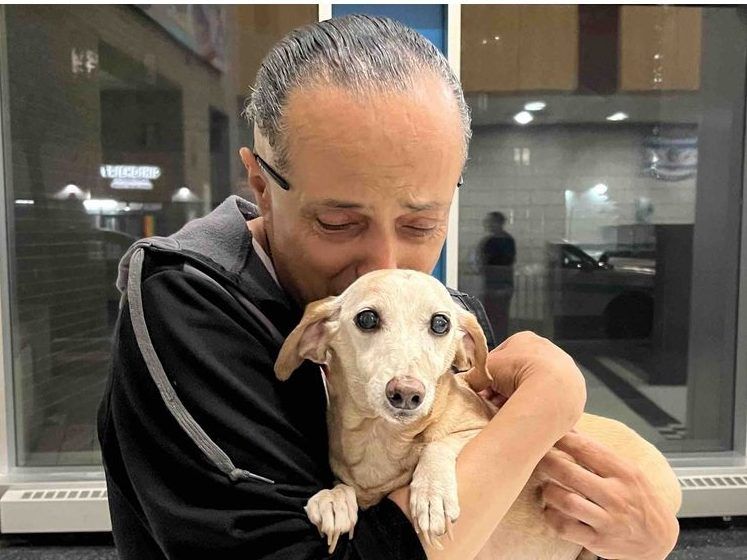 Bam Bam the emotional support dog reunites with Angel Santiago. MUST CREDIT: Bam Bam Rescue Team