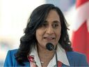 Canada's Transport Minister Anita Anand speaks at a press conference in the Old Port of Montreal in Montreal, Canada, on Feb. 19, 2025.