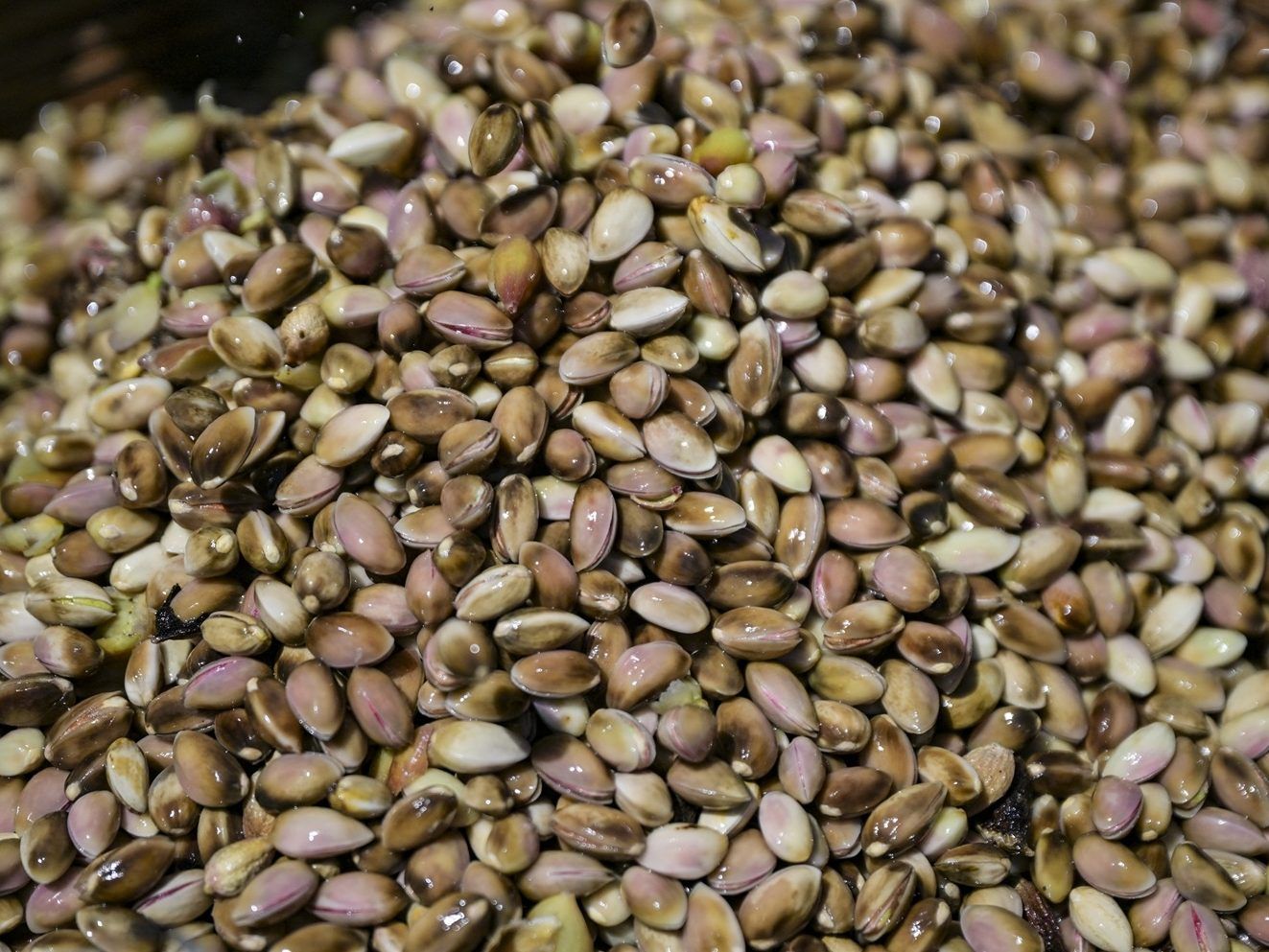 Dozens of recall warnings have been issued by the Canadian Food Inspection Agency over the last couple months for various brands of pistachio products.