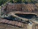 In an aerial view, logs are seen stacked at Gorman Brothers Lumber sawmill, in West Kelowna, B.C., on Friday, April 4, 2025.