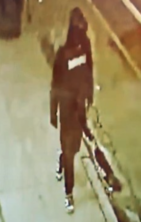 E-bike theft suspect