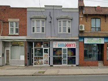 Drug trafficking charge laid as magic mushroom shop raided in Hamilton