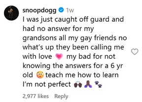 This comment shared by Snoop Dogg's official Instagram account has been labelled as fake by the rapper's representative.