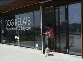 092225-Italy_Airport_Dog_Hotel