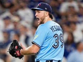 The Toronto Blue Jays' first World Series run since 1993 captured Canada’s imagination, according to Google's most searched events.