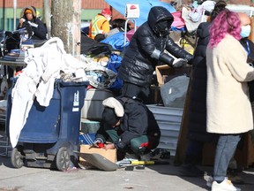 শেল্ভড রিপোর্টে উপহাস করা হয়েছে ‘গুফি’ আশ্রয়ের নাম পরিবর্তন করার ধারণা শেল্ভড রিপোর্টে উপহাস করা হয়েছে ‘গুফি’ আশ্রয়ের নাম পরিবর্তন করার ধারণা