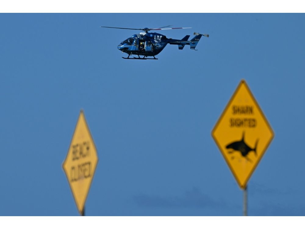 Australia is seen is a leader in shark bite prevention. (Saeed KHAN/AFP/File)  Australia is seen is a leader in shark bite prevention. (Saeed KHAN/AFP/File)
