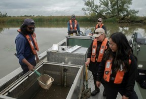 A Canadian government team assesses fish caught during a search for invasive carp in Ontario’s Grand River. (Jorge Uzon/AFP)