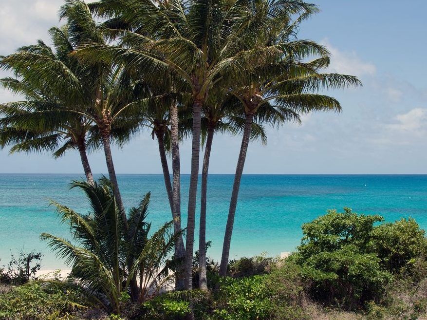 Cruise passenger, 80, dead after abandoned on Great Barrier Reef island