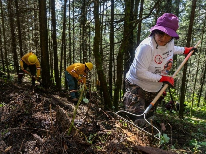 Mothers dug the ground with pitchforks and shovels, as they combed a large wooded area in Ajusco, a volcanic hill south of Mexico City. (GERARDO MAGALLON/AFP) Mothers dug the ground with pitchforks and shovels, as they combed a large wooded area in Ajusco, a volcanic hill south of Mexico City. (GERARDO MAGALLON/AFP)