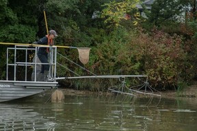 A member of Canada’s Invasive Carp program works on the Grand River, near Lake Erie. (Jorge Uzon/AFP)