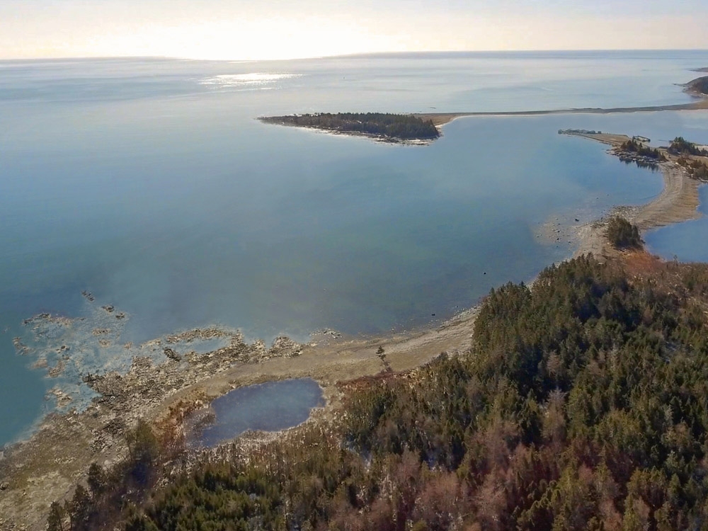 Opponents in rural Nova Scotia challenge cabinet decision on whale sanctuary project