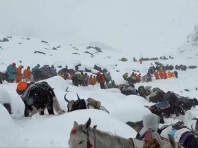 Mount Everest expeditions at centre of M insurance scam Mount Everest expeditions at centre of M insurance scam